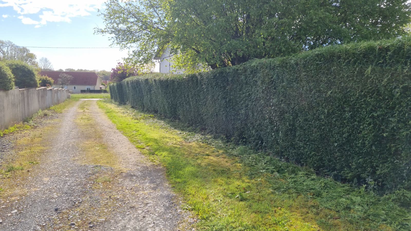 Entretien de parcs & jardins