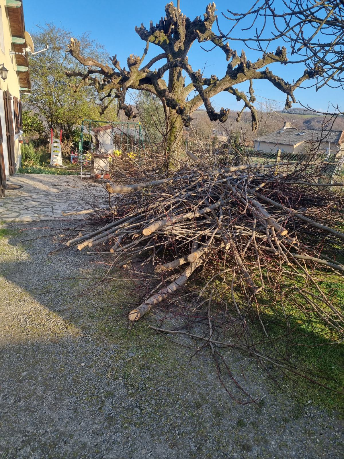 La taille de vos arbre