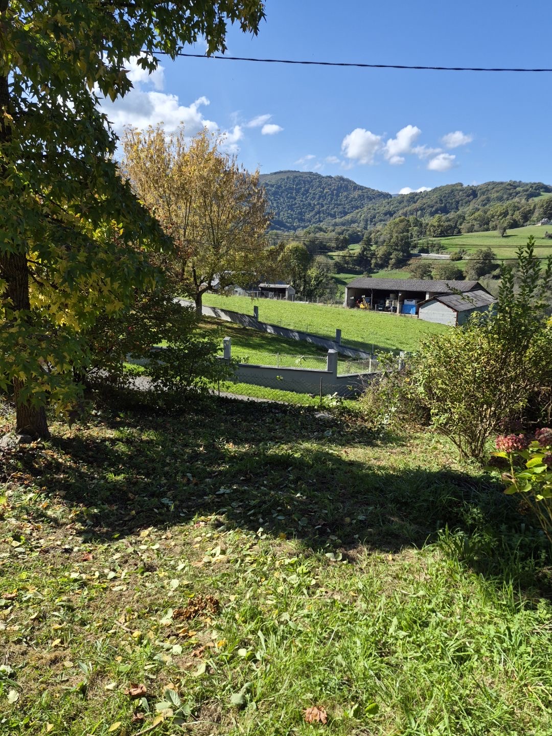 Elagage d'arbre pour votre jardin
